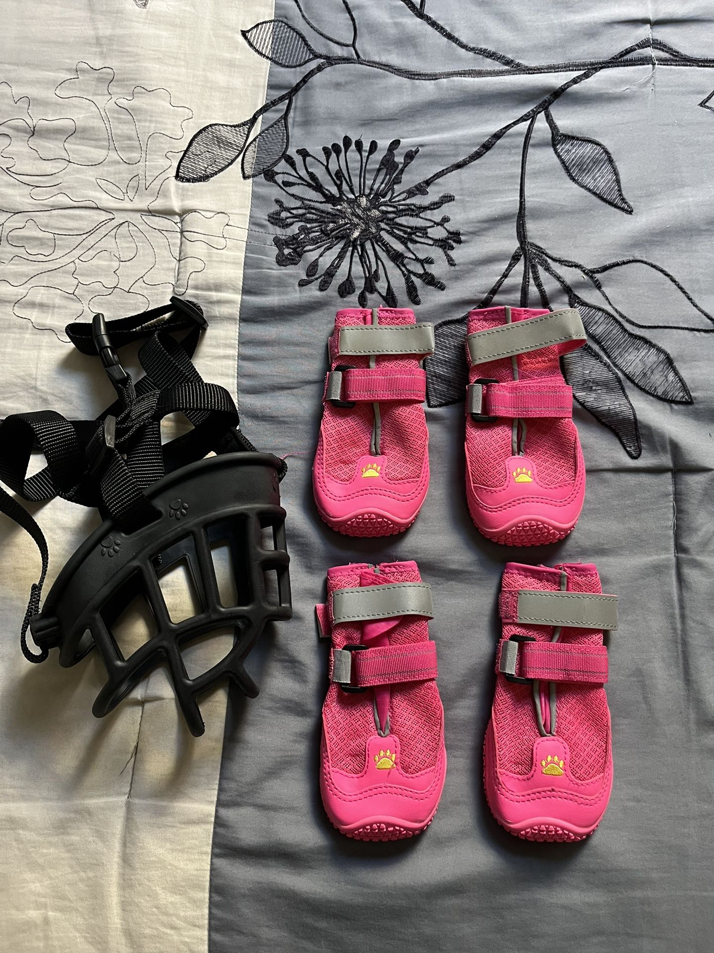 Dog Shoes & Muzzle