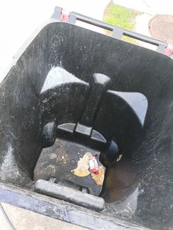 Trash bin cleaning