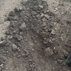 Dirt Available Free