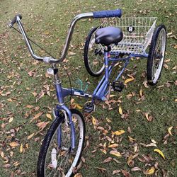 Sun Adult Tricycle Bike