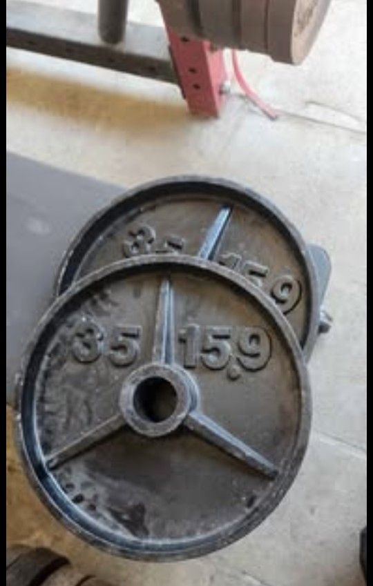 35 Pound Pair Of Weights 
