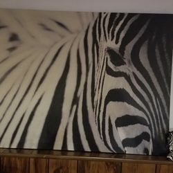 Zebra Canvas