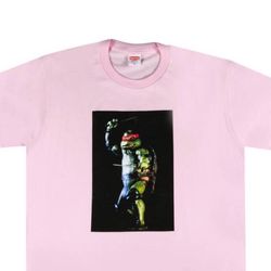 Supreme Raphael Tee- Light Pink - Large