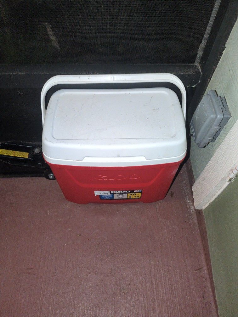 Igloo Cooler