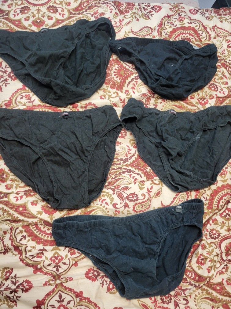 Fruit Of Loom And Hanes Breifs