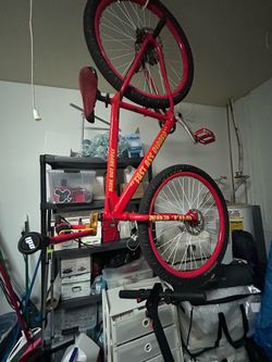 Fast Ripper SE Bike