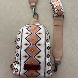 Small Crossbody Purse -Great Condition