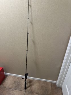 Fishing Rod Reel