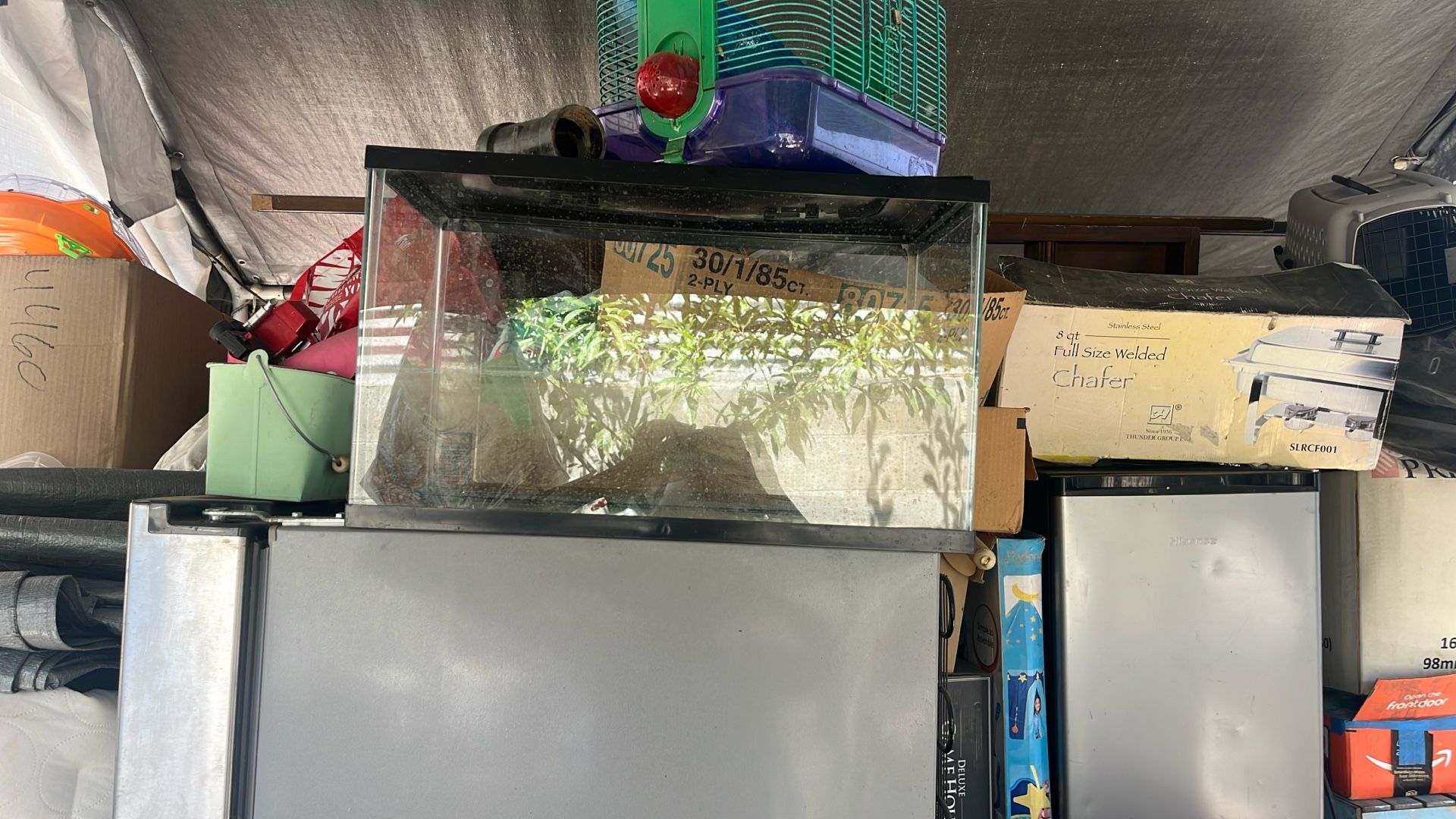 Fish Tank