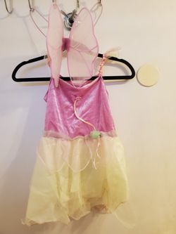 Fairy Princess W/wings