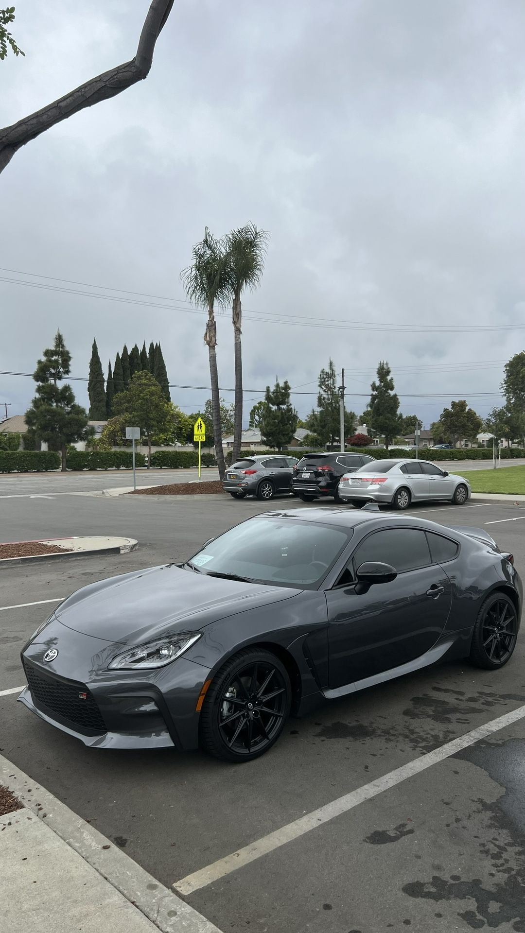 Window Automotive Tint Film