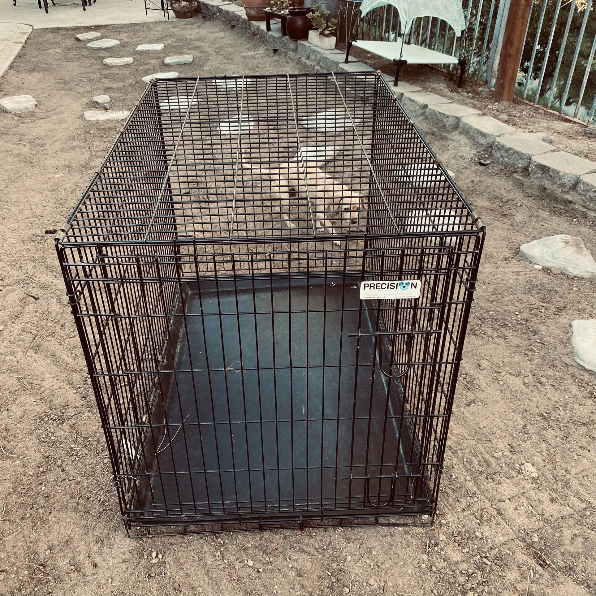 Precision Pet Products Large Dog Black Wire Crate Collapse Training Removable Pan Double Lock