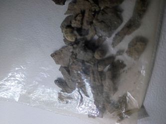 Meteorite fragments