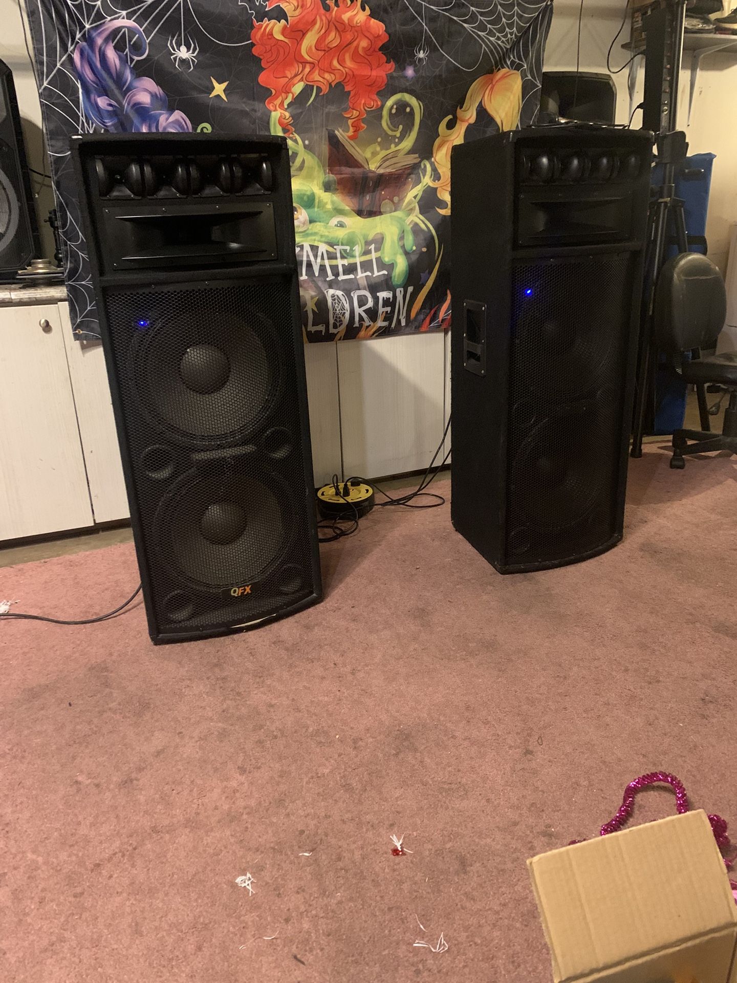Dj Speakers Or Karaoke 