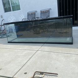 6ft Reptile Tank 