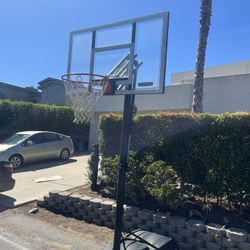 Basketball Hoop