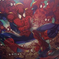 Spiderman Comicbook