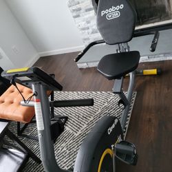 Exercise Bike Recumbent