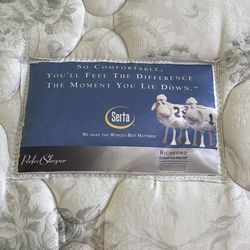 Serta perfect sleeper.  Queen