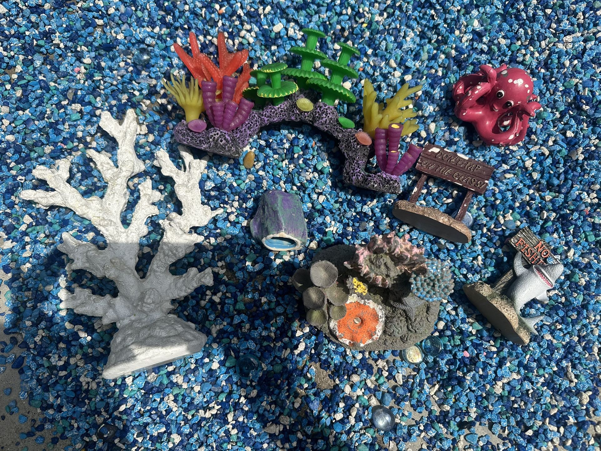 fish tank stuff