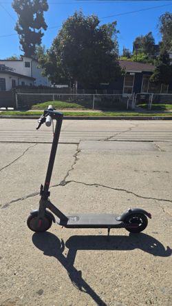 Adult electric scooter