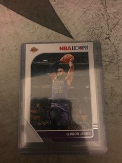 LeBron james nba hoops