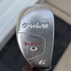 Cleveland Bloom Hybrid Iron