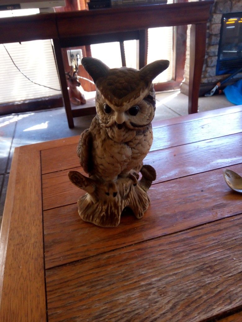 Nice Owl Statue