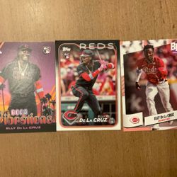 Elly Da La Cruz Rookies 