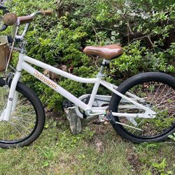 20” Retrospective Bicycle