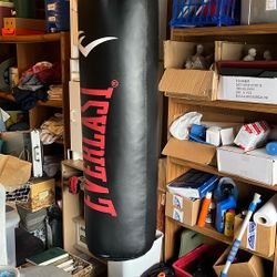 Everlasting Heavy Bag Good Condition