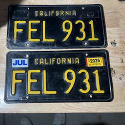 Original California Black & Yellow Plates 