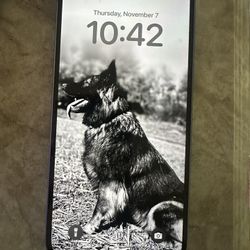 iPhone 14 Plus