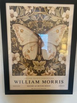 Butterfly art with frame