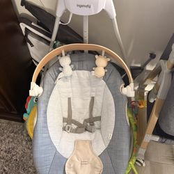  Ingenuity Baby Swing