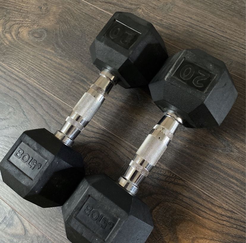 Dumbbell Weights 20lbs Set