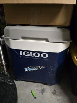 Igloo Cooler