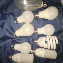 Light Bulbs