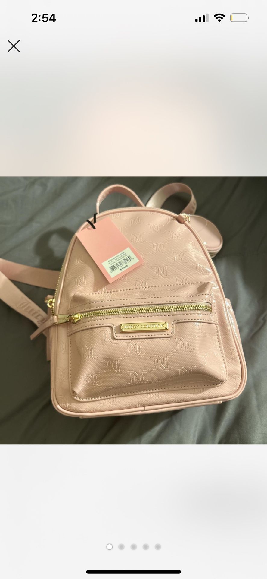 Pink Juicy Backpack
