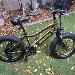 PEDEGO 48v fat tire electric bike 