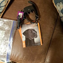 SportDog Brand   No Bark SBC-10 