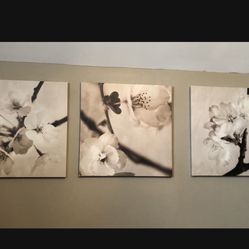 Canvas Pictures Set Of 3