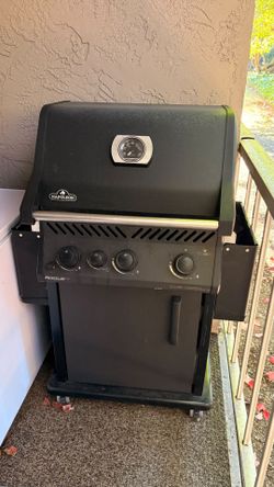 Napoleon Bbq