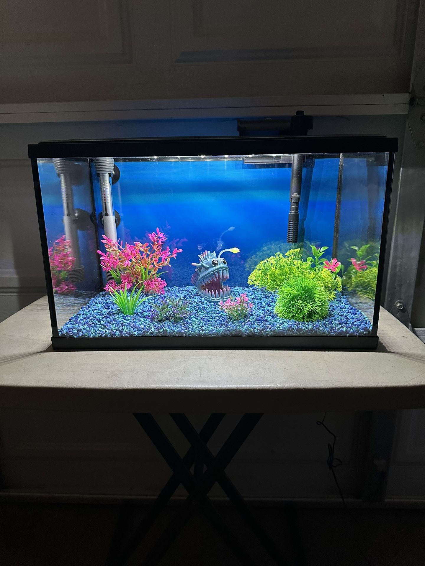 New Fish Tank 10 Gallons