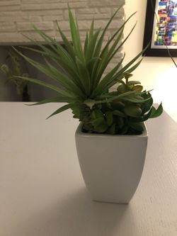 Fake a Plant Pot Home Decoration