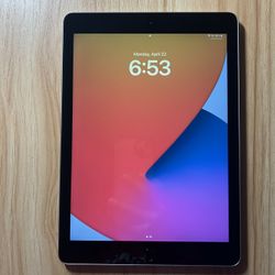 Perfect Condition Apple iPad 5 