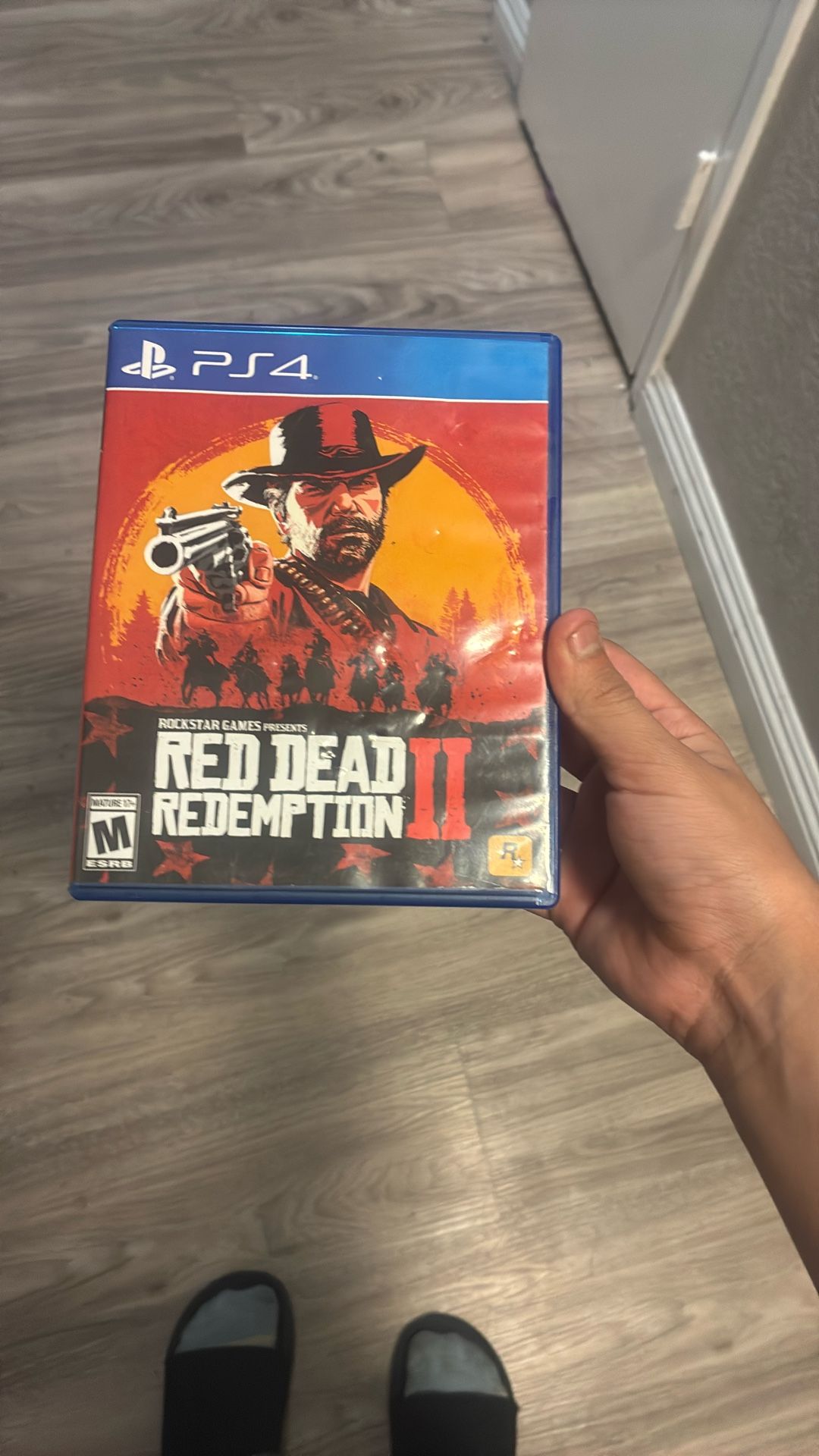 Red Dead Redemption 2