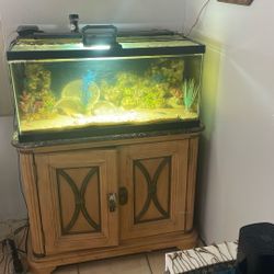 50 gallon saltwater aquarium complete with everything light canister filter, even with the little Nemo fish