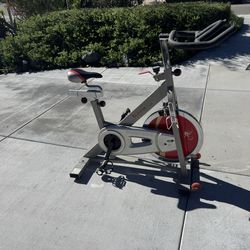 Sunny Fitness Training Bike