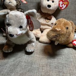 Beanie Babies $4